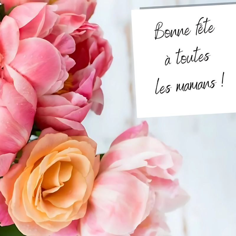 Pack "Sérénité en Mouvement"