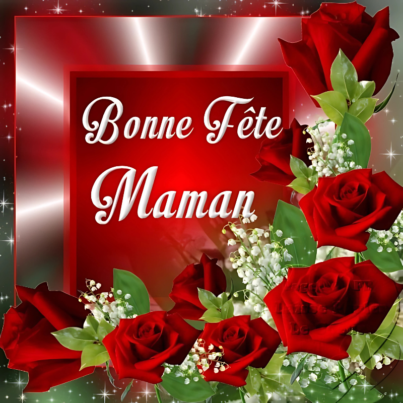 Pack "Évasion Florale"